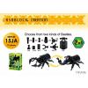 Asoblock 15JA Beetle อโซบล็อค ชุดแมลง ตัวต่อ ของเล่น เสริมพํฒนาการ ชิ้นส่วน